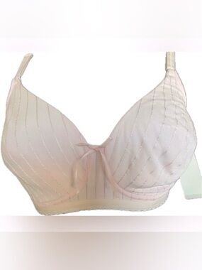 Fruit of the Loom Pink Full-Coverage Bra. New with tags. Womens Size 36C.